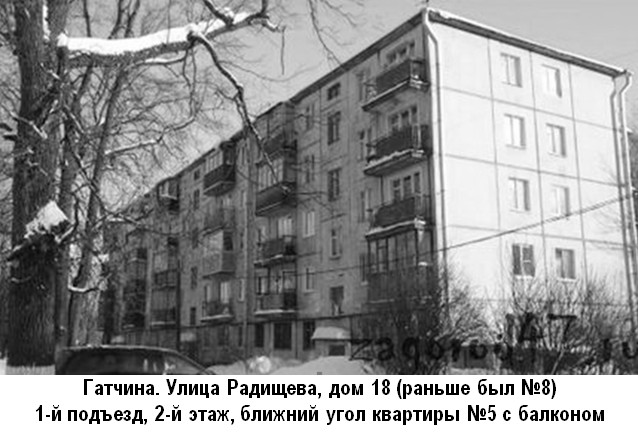 Гатчина, улица Радищева, дом 8