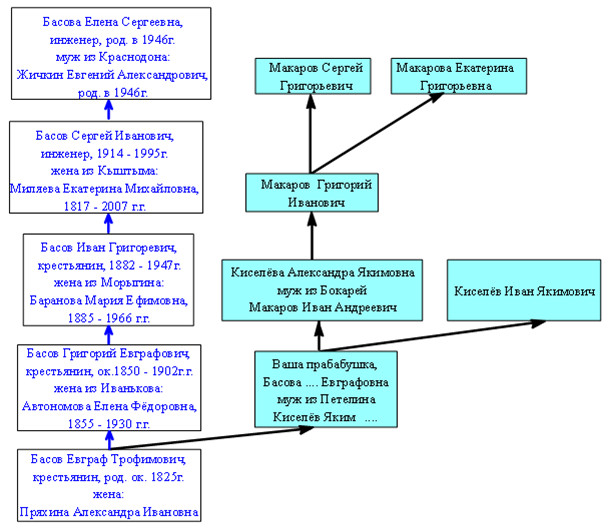 1-я возможноая схема родства Басовых и Макаровых