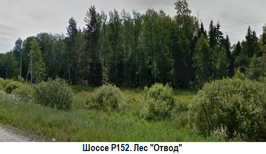 Шоссе Р152. Лес 'Отвод'